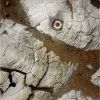 OPP-SOL639-2.jpg
