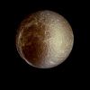 Rhea-MF2.jpg