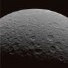 Rhea-W00034590.jpg