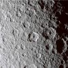 Rhea-W00034593.jpg