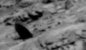SOL1332-2N244619888EFFAVC8P1940L0M1-002.jpg