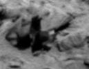 SOL1402-2N250828977EFFAW__P1925R0M1-2.jpg