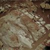 SOL291-MF-LXT.jpg