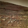 SOL311-7_copia2.jpg