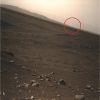 SOL454-2P166670541EFFA9BGP2403L7M1-1.jpg