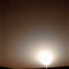 SOL476-2N168639294EDNAAACP1572L0M1.jpg