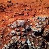 SOL482-1_copia-2.jpg