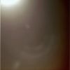 SOL483-2N169231966EDNAAB2P1584L0M1.jpg