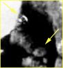 SOL485-IT-2P169421624EFFAAB2P2419L2M1_v2.jpg