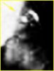 SOL485-IT-2P169421624EFFAAB2P2419L2M1_v3.jpg