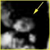 SOL485-IT-2P169421624EFFAAB2P2419L2M1_v4.jpg