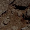 SOL494-MF-MicroscopicImager-1.jpg