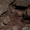 SOL494-MF-MicroscopicImager-2.jpg