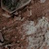 SOL533-2M173683780EFFACAQP2957M2M1_rgb_3d-MF2.jpg