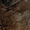 SOL533-2M173683780EFFACAQP2957M2M1_rgb_3d-MF3.jpg