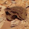 SOL747-MF-LXTT1.jpg