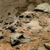 SOL762-2P194011077EFFAODQP2368L7M1-1.jpg