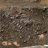 SOL778-1.jpg