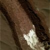 SOL784-1.jpg