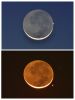 ZG-Mercury_occulted_by_the_Moon-2026Feb18-Melandri.jpg
