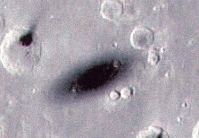 Phobos' shadow...again!
nessun commento
Parole chiave: Mars from orbit - Phobos' shadow